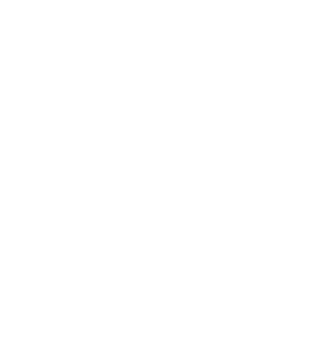 Chiropractor for Car Accident